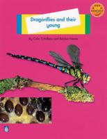 Dragonflies and Their Young