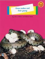 Grass Snakes and Their Young