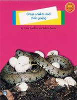 Grass Snakes and Their Young