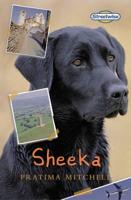Streetwise Independent Readers: Sheeka (Pack of Six)