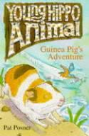 Guinea Pig's Adventure