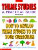 Theme Studies a Practical Guide