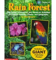 Rain Forest : The Latest Information And