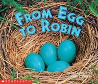 From Egg to Robin