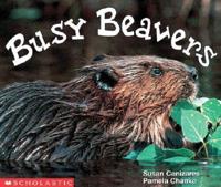 Busy Beavers