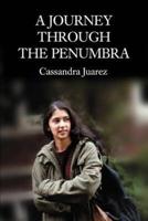 A Journey Through The Penumbra
