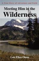 Meeting Him in the Wilderness:A True Story of Adventure and Faith