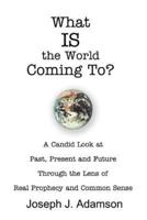 What IS the World Coming To?:A Candid Look at Past, Present and Future Through the Lens of Real Prophecy and Common Sense
