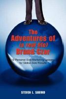 The Adventures of (a real life) Brand Czar:12 Personal-Size Marketing Lessons for Global-Size Results