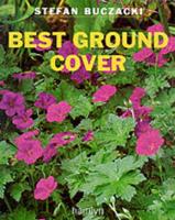 Best Ground Cover