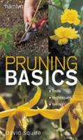 Pruning Basics