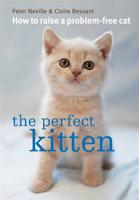 The Perfect Kitten
