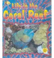 Life in the Coral Reef