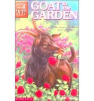 Goat in the Garden