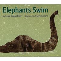 Elephants Swim