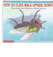 How Do Flies Walk Upside Down?