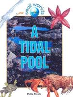 A Tidal Pool
