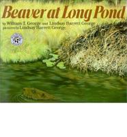 Beaver at Long Pond