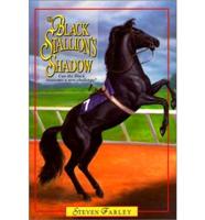 The Black Stallion's Shadow
