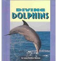 Diving Dolphins
