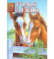 Foals in the Field