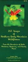 265 Images of Northern Rocky Mountains Wildflowers