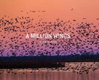 A Million Wings