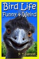 Bird Life Funny & Weird Feathered Animals