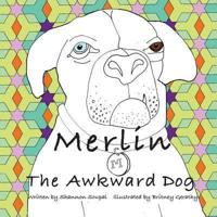 Merlin The Awkward Dog