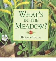 What's in the Meadow?