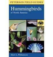 A Field Guide to Hummingbirds of North America
