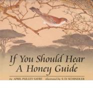 If You Should Hear a Honey Guide