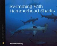 Swimming With Hammerhead Sharks