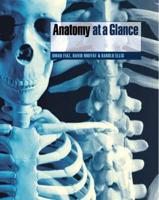 Anatomy at a Glance