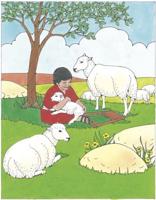 Puzzle: David and the Sheep