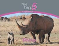 Rhino: The Big 5 and other wild animals