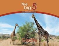 Giraffe: The Big 5 and other wild animals