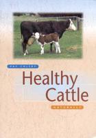 Healthy Cattle