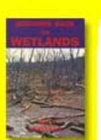 Bringing Back the Wetlands