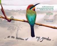 at the bottom of my garden: An illustrated story of the fascinating and spectacular birdlife in a place called Edenville