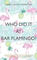 Who Did It at Bar Flamingo?: Jamieson Hart, Fund Manager and Coincidental Detective Series