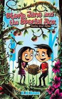 Stevie, Jane and the Special Box : An Early Reader Adventure Book