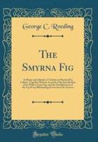 The Smyrna Fig