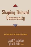 Shaping Beloved Community