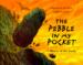 The Pebble in My Pocket