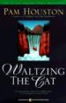 Waltzing the Cat