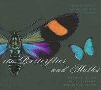 100 Butterflies and Moths