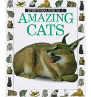 Amazing Cats