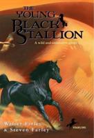 The Young Black Stallion. Classic Black Stallion