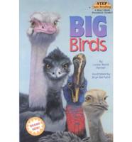 Big Birds